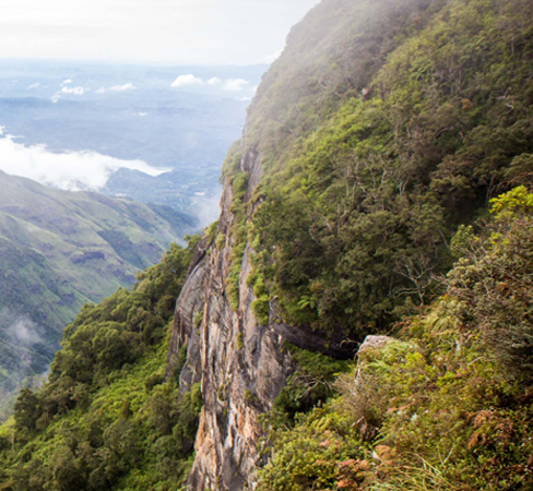 Horton Plains